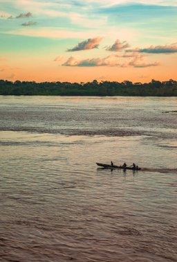 Suya batırılmış bir kaymanın yakın plan çekimi karmaşık pullarını Leticia, Kolombiya 'daki Amazon yağmur ormanlarının zengin biyolojik çeşitliliğinde sergiliyor..