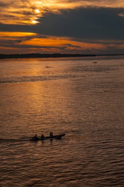 Suya batırılmış bir kaymanın yakın plan çekimi karmaşık pullarını Leticia, Kolombiya 'daki Amazon yağmur ormanlarının zengin biyolojik çeşitliliğinde sergiliyor..