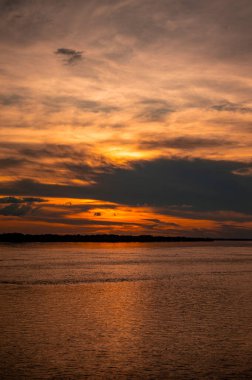 Suya batırılmış bir kaymanın yakın plan çekimi karmaşık pullarını Leticia, Kolombiya 'daki Amazon yağmur ormanlarının zengin biyolojik çeşitliliğinde sergiliyor..
