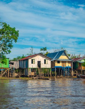 Suya batırılmış bir kaymanın yakın plan çekimi karmaşık pullarını Leticia, Kolombiya 'daki Amazon yağmur ormanlarının zengin biyolojik çeşitliliğinde sergiliyor..