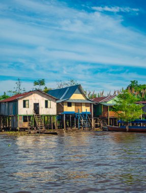 Suya batırılmış bir kaymanın yakın plan çekimi karmaşık pullarını Leticia, Kolombiya 'daki Amazon yağmur ormanlarının zengin biyolojik çeşitliliğinde sergiliyor..