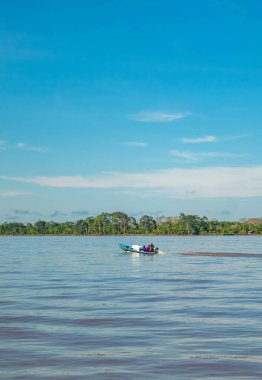 Suya batırılmış bir kaymanın yakın plan çekimi karmaşık pullarını Leticia, Kolombiya 'daki Amazon yağmur ormanlarının zengin biyolojik çeşitliliğinde sergiliyor..
