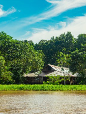 Suya batırılmış bir kaymanın yakın plan çekimi karmaşık pullarını Leticia, Kolombiya 'daki Amazon yağmur ormanlarının zengin biyolojik çeşitliliğinde sergiliyor..