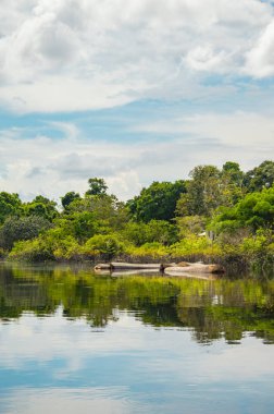 Amazon yağmur ormanlarının güzelliğini gözler önüne seren, Leticia, Amazonlar yakınlarındaki yemyeşil ve sakin suların sakin manzarası..
