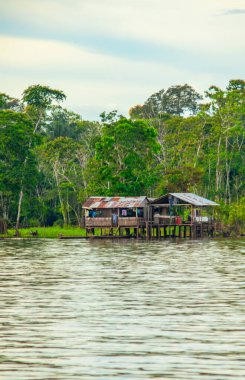 Kolombiya, Leticia 'da yemyeşil tropikal ormanlarla çevrili Amazon Nehri' nde yüzen ahşap bir ev biyolojik çeşitliliğin güzelliğini gözler önüne seriyor..