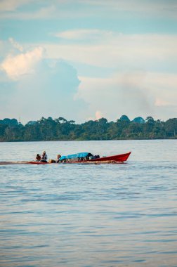 Bir tekne, Kolombiya, Leticia 'da yemyeşil tropikal ormanlarla çevrili Amazon Nehri' nin sakin sularında yol alır..