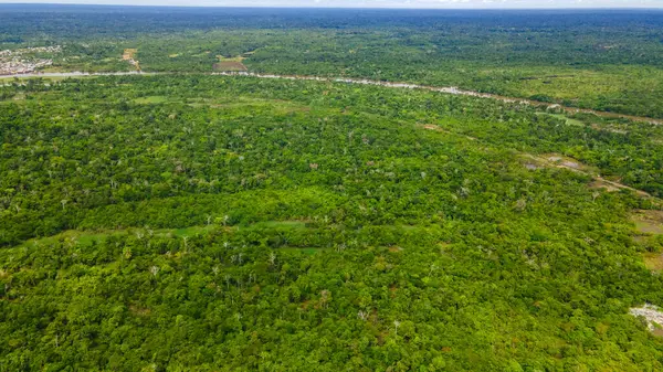 Leticia, Kolombiya 'nın çarpıcı hava perspektifi, canlı evler ve yemyeşil bitki örtüsüyle çevrili Amazon Nehri kıyıları.