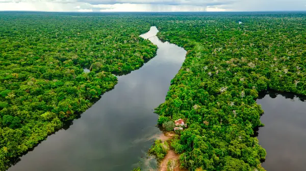 Amazon Nehri 'nin zengin kültürel ve doğal manzarasını gözler önüne seren Leticia, Amazonas' a demirlemiş teknelerin çarpıcı hava manzarası..