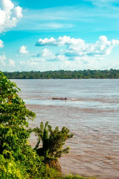 Suya batırılmış bir kaymanın yakın plan çekimi karmaşık pullarını Leticia, Kolombiya 'daki Amazon yağmur ormanlarının zengin biyolojik çeşitliliğinde sergiliyor..
