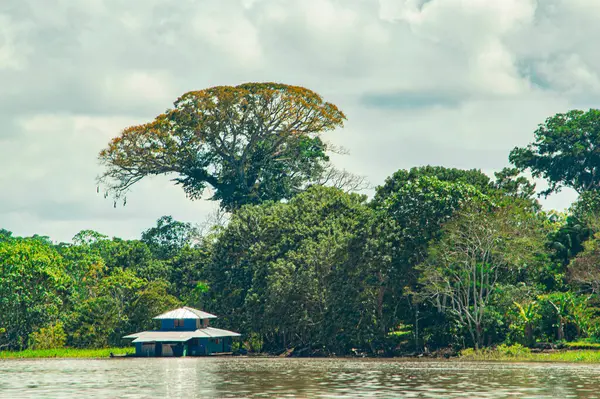 Leticia, Kolombiya 'daki Amazon Nehri' nin sakin manzarası, yemyeşil ve deniz kenarında ahşap bir ev, bölgenin zengin biyolojik çeşitliliğini gösteriyor..