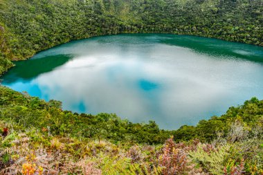 Guatavita, Kolombiya 'daki yemyeşil ve taş yolları keşfedin. Muisca kültürünün zengin biyolojik çeşitliliğini gösterin..