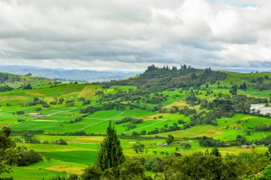 Guatavita, Kolombiya 'daki yemyeşil ve taş yolları keşfedin. Muisca kültürünün zengin biyolojik çeşitliliğini gösterin..