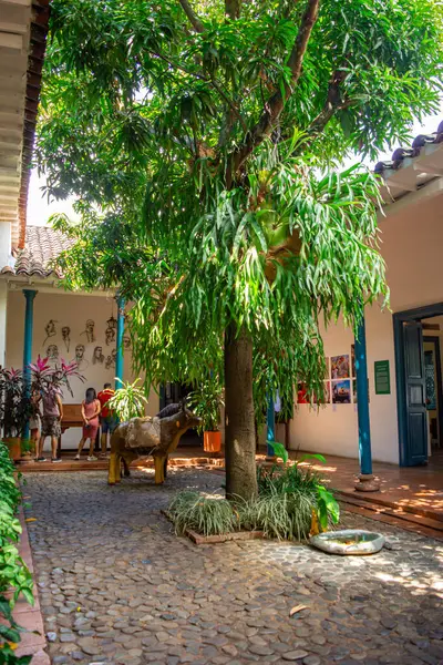 Santa F de Antioquia 'daki nehrin üzerindeki ikonik asma köprünün çarpıcı manzarası, yemyeşil bir zemin üzerinde koloni mimarisi sergiliyor..