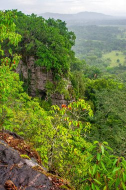 Guaviare, Kolombiya 'daki yemyeşil bir uçurumun nefes kesici manzarası zengin biyolojik çeşitlilik ve çarpıcı manzaralar sergiliyor.