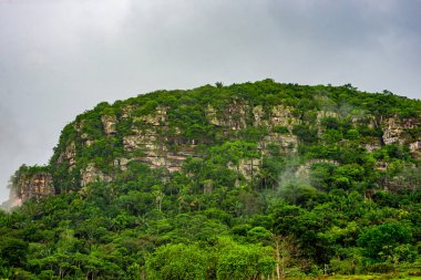 Guaviare, Kolombiya 'da yeşil kaplı bir tepenin manzarası zengin biyolojik çeşitliliği ve bölgenin doğal güzelliğini gözler önüne seriyor.