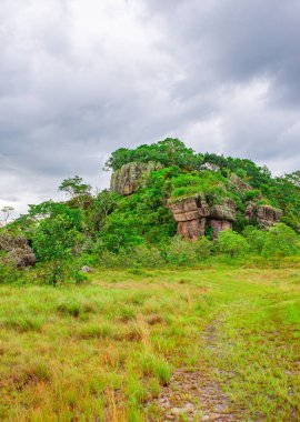 Guaviare, Kolombiya 'daki yemyeşil ve kayalık oluşumların güzel manzarası doğa severler ve Kolombiya' daki tatiller için mükemmel.