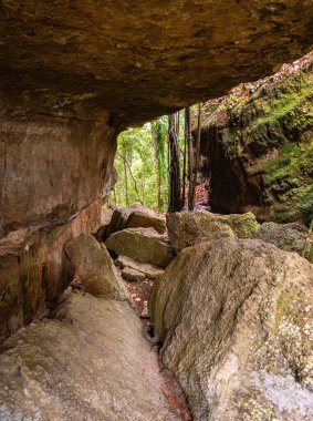 Kolombiya 'nın Guaviare şehrinde yemyeşil ve antik taş oluşumları ile çevrili, doğa meraklıları için ideal bir kayalık mağara.