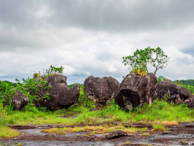 Guaviare, Kolombiya 'da yemyeşil yemyeşil kayalıklarla çevrili eşsiz kaya oluşumları. Kolombiya 'da tatil için mükemmel bir doğal manzara.
