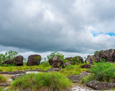 Guaviare, Kolombiya 'da bulutlu bir gökyüzü altında yemyeşil ortamda eşsiz kaya oluşumlarının manzarası doğa severler için mükemmel.