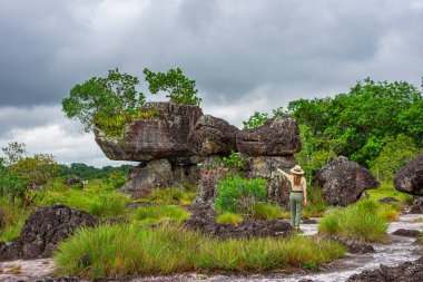 Bir kadın, Guaviare, Kolombiya 'da yemyeşil yemyeşil ile çevrili olağandışı kaya oluşumlarına hayret ediyor. Doğanın güzelliğini gösteriyor.