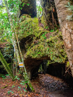 Guaviare, Kolombiya 'nın canlı doğal manzarasını keşfedin. Yeşillik, büyük kayalar ve maceracılar için manzaralı bir yol.