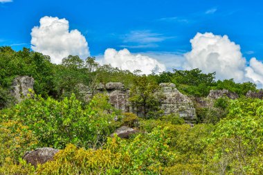 Canlı yeşillik manzarası ve mavi gökyüzü altında kayalık çıkıntılar, kabarık bulutlar, Kolombiya, Guaviare 'de