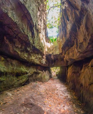 Guaviare, Kolombiya 'da yüksek kaya duvarları ve yemyeşil yemyeşil yemlikleriyle göz kamaştırıcı doğal bir kanyonu keşfediyorum.