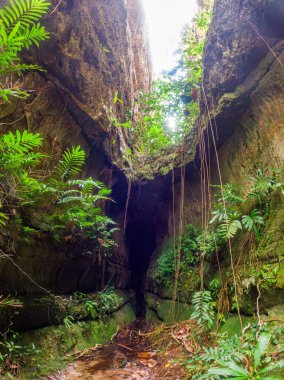 Cıvıl cıvıl yemyeşil bir kanyonun göz kamaştırıcı manzarası ve dar bir dere, Guaviare, Kolombiya 'nın doğal güzelliğini gözler önüne seriyor.