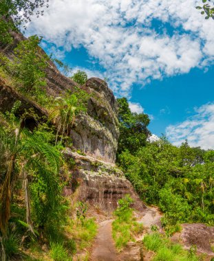 Canlı yeşil bitki örtüsüyle çevrili yükselen kayaların manzarası ve Kolombiya, Guaviare 'de açık mavi bir gökyüzü.