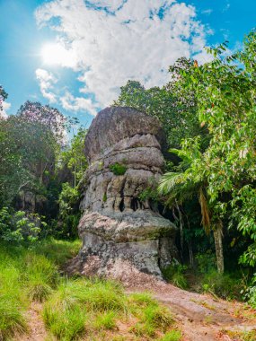 Guaviare, Kolombiya 'da verimli yeşilliklerle çevrili görkemli kaya yapısı parlak bir gökyüzü altında doğanın güzelliğini sergiliyor.