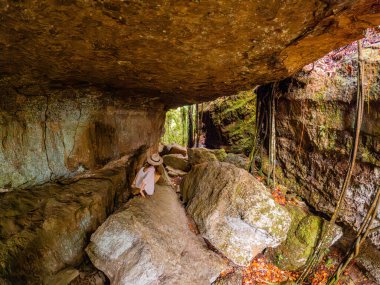 Guaviare, Kolombiya 'da yemyeşil yemliklerle çevrili doğal bir mağarayı keşfeden genç bir kadının sakin bir sahnesi macera arayanlar için mükemmel.