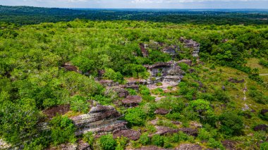 Guaviare, Kolombiya 'da yemyeşil ve eşsiz kaya oluşumlarını gösteren nefes kesici hava manzarası doğa severler ve maceracılar için mükemmel.