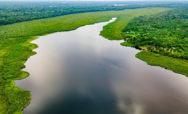 Guaviare Nehri 'nin çarpıcı hava manzarası, Guaviare, Kolombiya' da yemyeşil ile çevrili, doğanın güzelliğini ve sakin sularını gözler önüne seriyor.