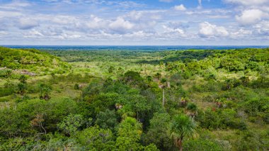San Jose del Guaviare, Kolombiya 'daki yemyeşil manzaranın çarpıcı panoramik manzarası bölgenin doğal güzelliğini gözler önüne seriyor.