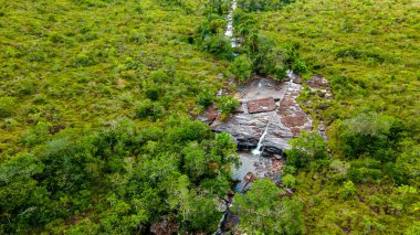 Guaviare, Kolombiya 'daki yoğun yeşilliklerden akan sakin bir akarsuyun havadan görünüşü bölgenin doğal güzelliğini gözler önüne seriyor.