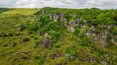Guaviare, Kolombiya 'daki canlı yeşillik ve kayalık oluşumların hava manzarası çarpıcı doğal güzellikleri ve zengin biyolojik çeşitliliği sergiliyor.