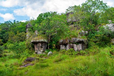 Guaviare, Kolombiya 'daki yemyeşil bitki örtüsünün ortasında, doğanın güzelliğini ve dinamik manzaralarını gözler önüne seren çarpıcı antik kaya oluşumlarını keşfedin.