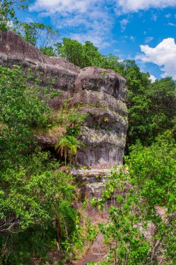 Guaviare, Kolombiya 'da açık mavi bir gökyüzü altında yemyeşil ile çevrili güzel kaya oluşumu doğa severler ve macera arayanlar için idealdir.