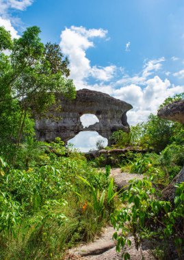 Kolombiya, Guaviare 'de parlak mavi gökyüzünün altında yemyeşil bir yeşil ile çevrili doğal bir kaya oluşumunun çarpıcı bir görüntüsü.