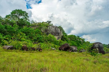 Guaviare, Kolombiya 'daki yemyeşil ve kaya oluşumlarının manzarası bulutlu gökyüzünün altında doğa severler ve macera arayanlar için mükemmel.