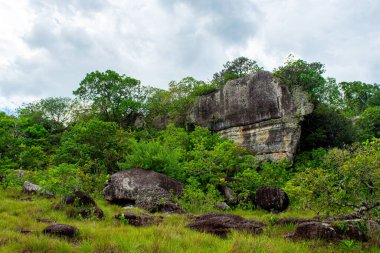Guaviare, Kolombiya 'daki canlı yeşilliklerle çevrili güzel kayalık oluşumlar bölgenin doğal manzarasını gözler önüne seriyor.