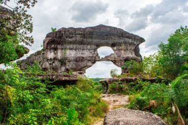 Guaviare, Kolombiya 'da yemyeşil yemyeşil bir kemerle çevrili çarpıcı bir kaya oluşumu. Doğa aşıkları ve macera arayanlar için mükemmel.