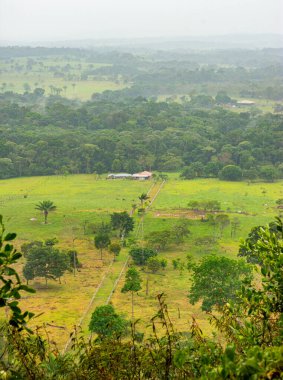Bir gezgin, Kolombiya, Guaviare 'deki antik kaya resimlerine hayran, göz kamaştırıcı doğal bir zemin ile çevrili.
