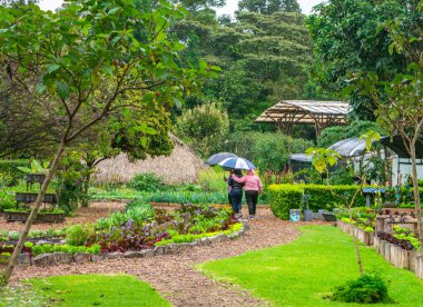 İki kadın Bogot 'taki yemyeşil bir bahçede ellerinde bir şemsiye, canlı bitkiler ve yeşilliklerle yürüyor.