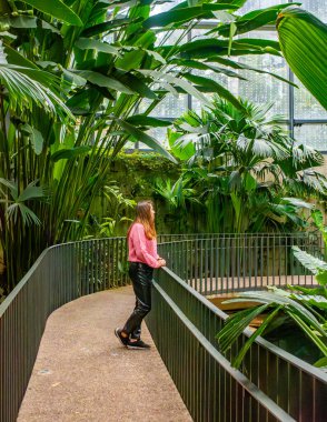Bogot Botanik Bahçesi 'nde sakin bir sahne. Yeşillik ve tropik bitkilere hayran olan bir kadın.