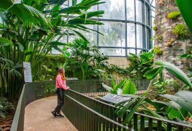 Bogot Botanik Bahçesi 'nde sakin bir an. Etrafı yemyeşil ve tropikal bitkilerle çevrili. Kolombiya' daki doğanın güzelliğini vurguluyor.