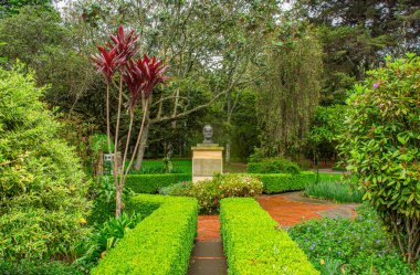Bogot Botanik Bahçesi 'nde düzgünce budanmış çitlerle kaplı, bulutlu gökyüzünün altında canlı yeşillikler sergilenen sakin bir patika.