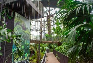 Kayaların, suyun ve yeşilliğin yer aldığı büyüleyici bir sergi, doğanın güzelliğini yenilikçi bir ortamda sergiliyor.