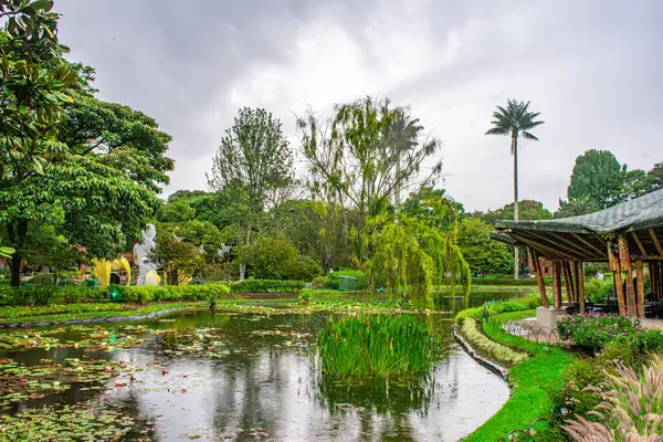Bogot 'un Botanik Bahçesi' nde sakin bir sahne, yemyeşil, dingin bir gölet ve bulutlu bir gökyüzü altında zarif heykeller.