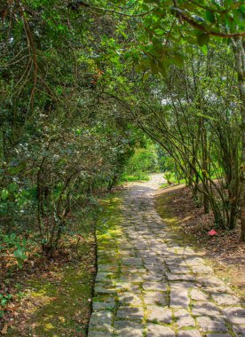 Kayaların, suyun ve yeşilliğin yer aldığı büyüleyici bir sergi, doğanın güzelliğini yenilikçi bir ortamda sergiliyor.